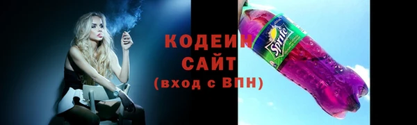 прущий лед Алзамай