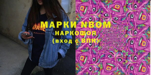 прущий лед Алзамай