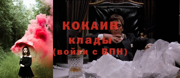 прущий лед Алзамай