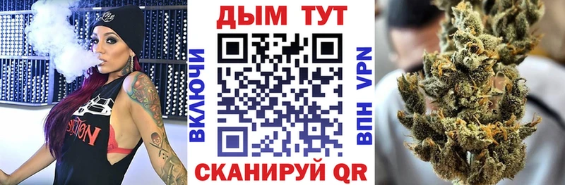 купить  сайты  Чусовой  Канабис сатива 